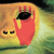 :iconstaggerings: