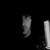 :iconstaggs-dustin: