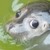 :iconstainless-heart: