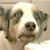 :iconstainsplz: