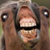 :iconstalinforprez: