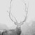 :iconstallone-studios: