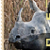 stamp-gfllama1plz :iconstamp-gfllama1plz: