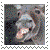 :iconStampWhore: