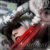 :iconstan182: