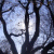 :iconStandingCue180: