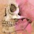 stanleyillustration :iconstanleyillustration: