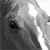 :iconstar-dog: