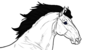 :iconstar-gazer-herd:
