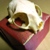 :iconstar-snatcher: