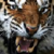 :iconstar1ight77: