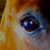 :iconstar389: