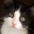 :iconstar61: