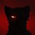 :iconstarbucksfox: