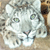 :iconstarcheshyre: