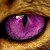 :iconstarclanliveson: