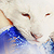 :iconstarcrossedlover9: