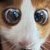 :iconstarcrossedmoon: