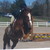 :iconstardomstables: