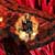 :iconstardragon12-1-8-12: