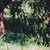 :iconstareyedlover: