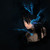 :iconstarfear494: