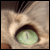 :iconstarfell: