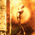 :iconstarfire: