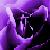 :iconstarfire350: