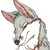 :iconstarfoxacefox: