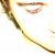 :iconstargazer803: