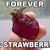 :iconstargazingretriever: