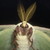 :iconstarhunter25: