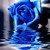 :iconstarkangel95: