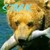 :iconstarkjv: