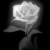 :iconstarless-night: