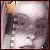 :iconstarlet44x: