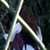 :iconstarlightfeather13: