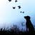 :iconstarliteimages: