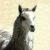 :iconstarlitinsanity:
