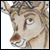 :iconstarlitkisses: