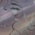 :iconstarltrubymoon: