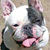:iconstarmirage:
