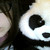 :iconstarrskape: