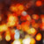 :iconstarry-liz: