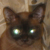 :iconstarryeydbabe: