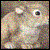 :iconstarryeyedmessiah: