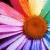 :iconstarrynightend: