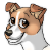 :iconstarrypoke: