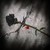 :iconstars-poetry-account: